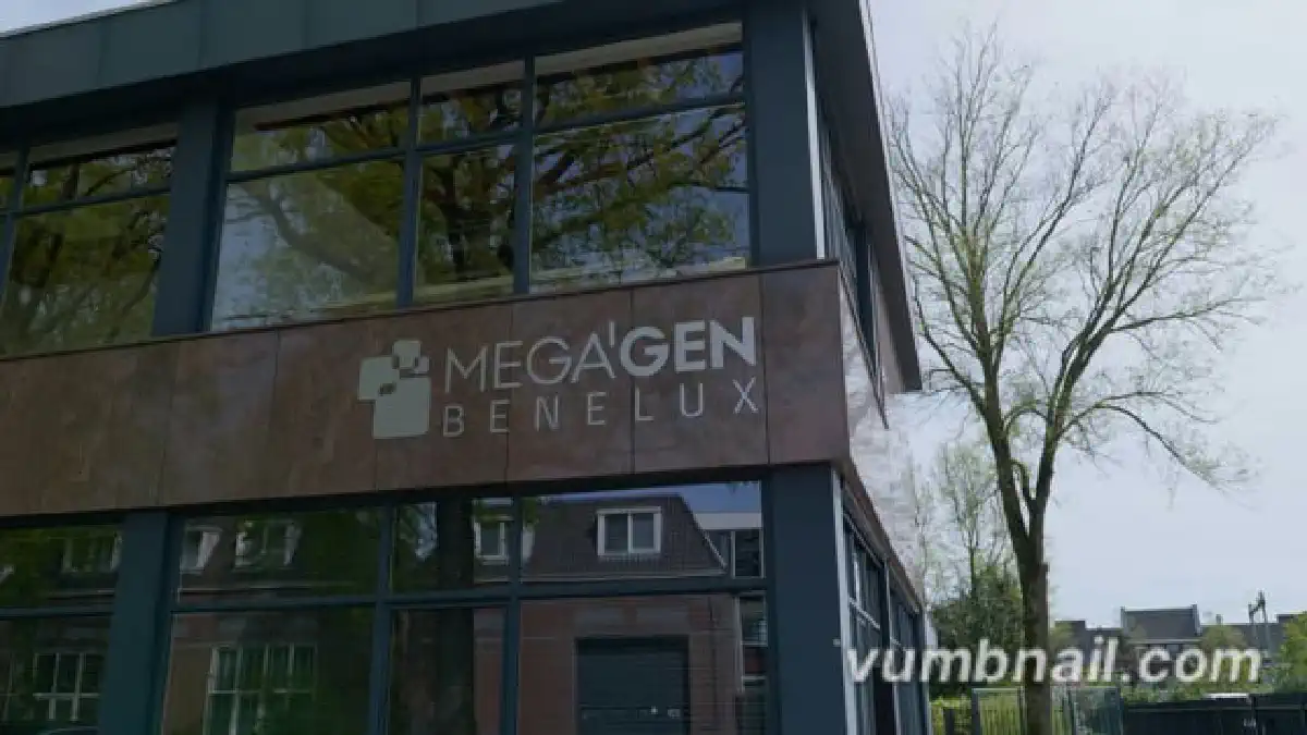 Vimeo video 1008399582