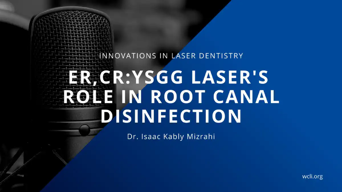 Vimeo video 533283262