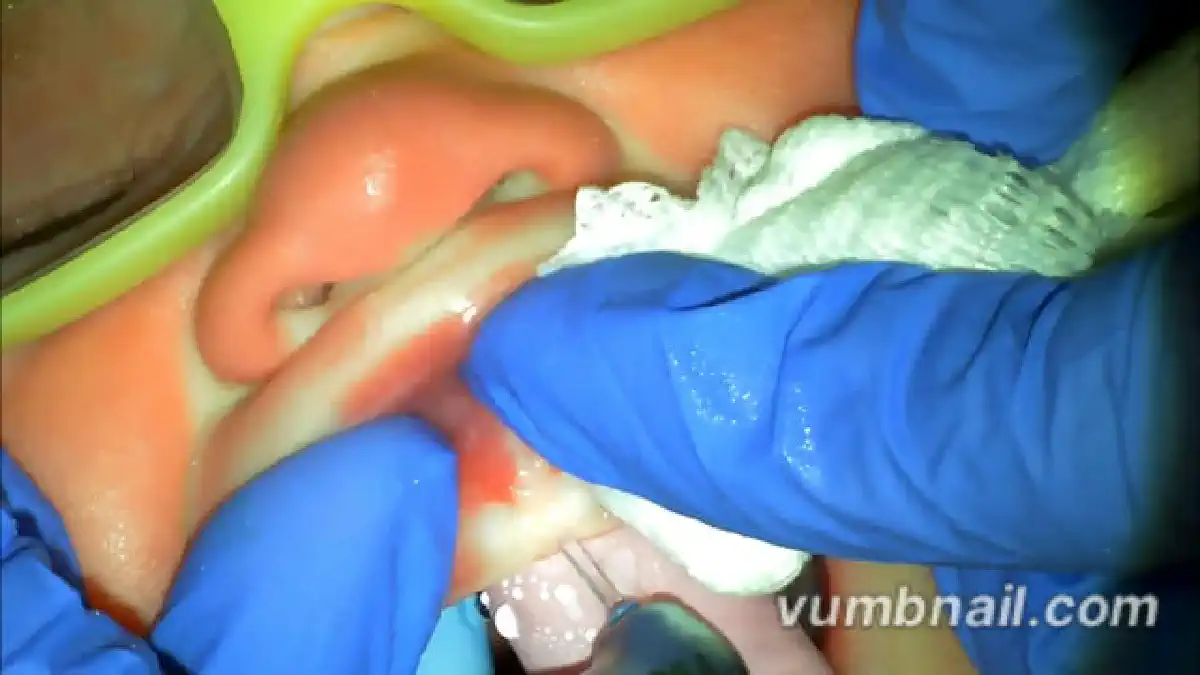 Vimeo video 315787270