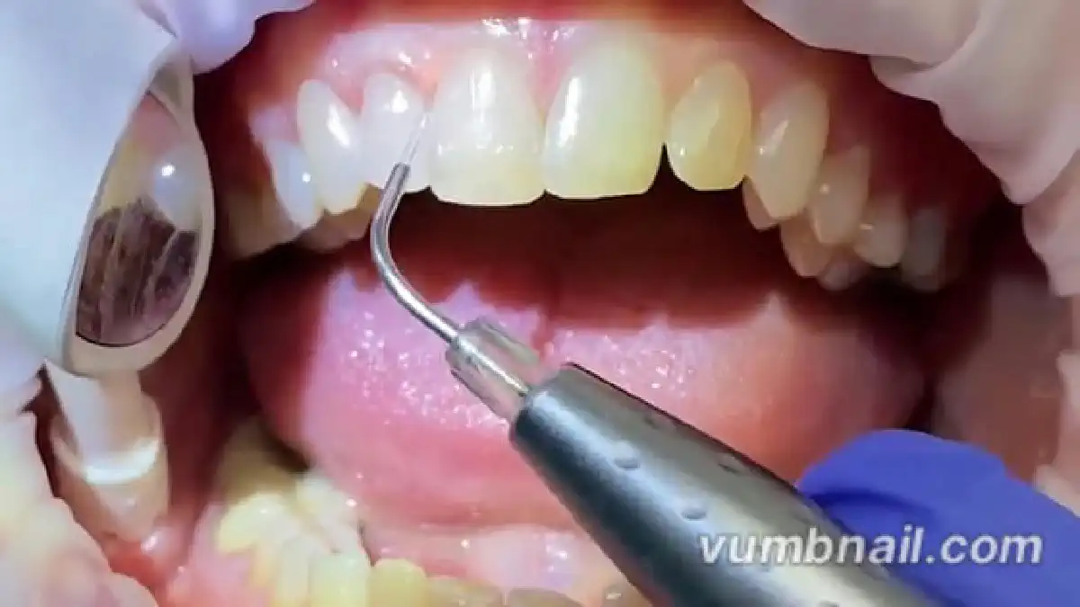 Vimeo video 507232145