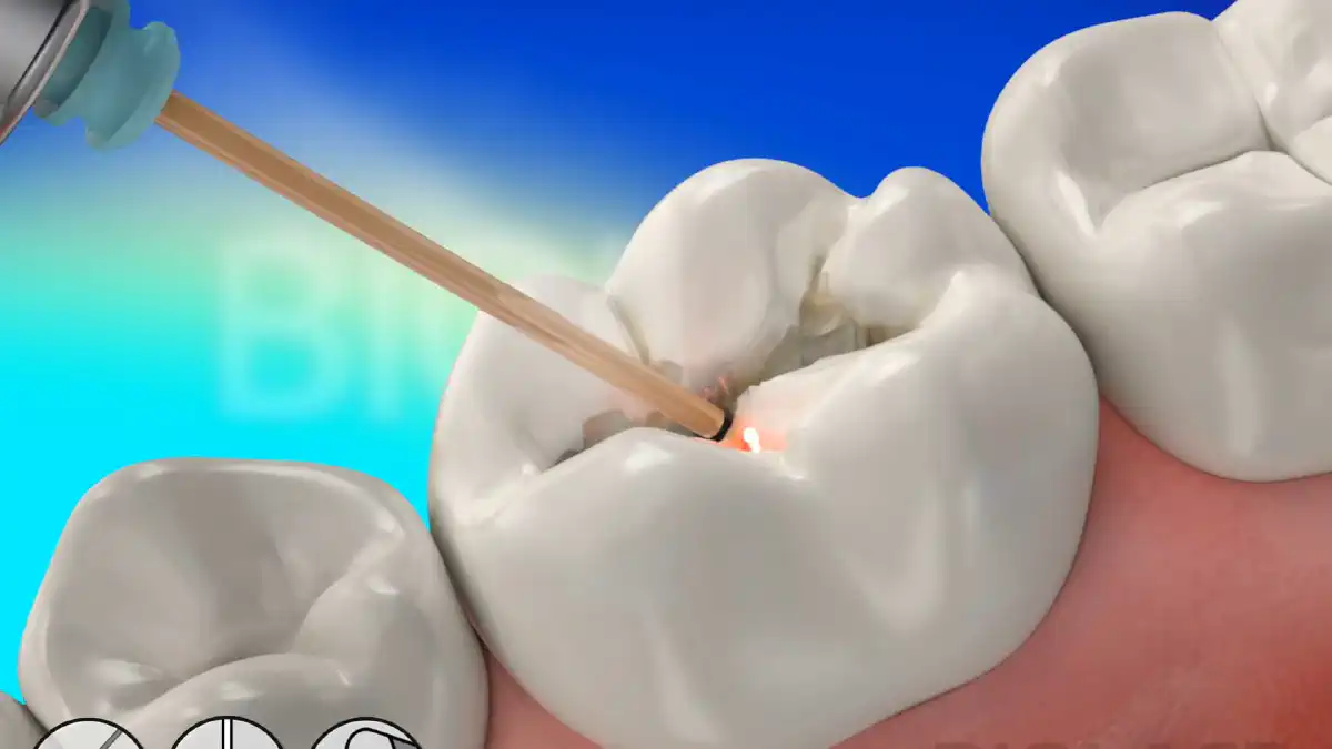 Vimeo video 267313348