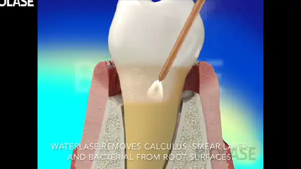 Vimeo video 284420778