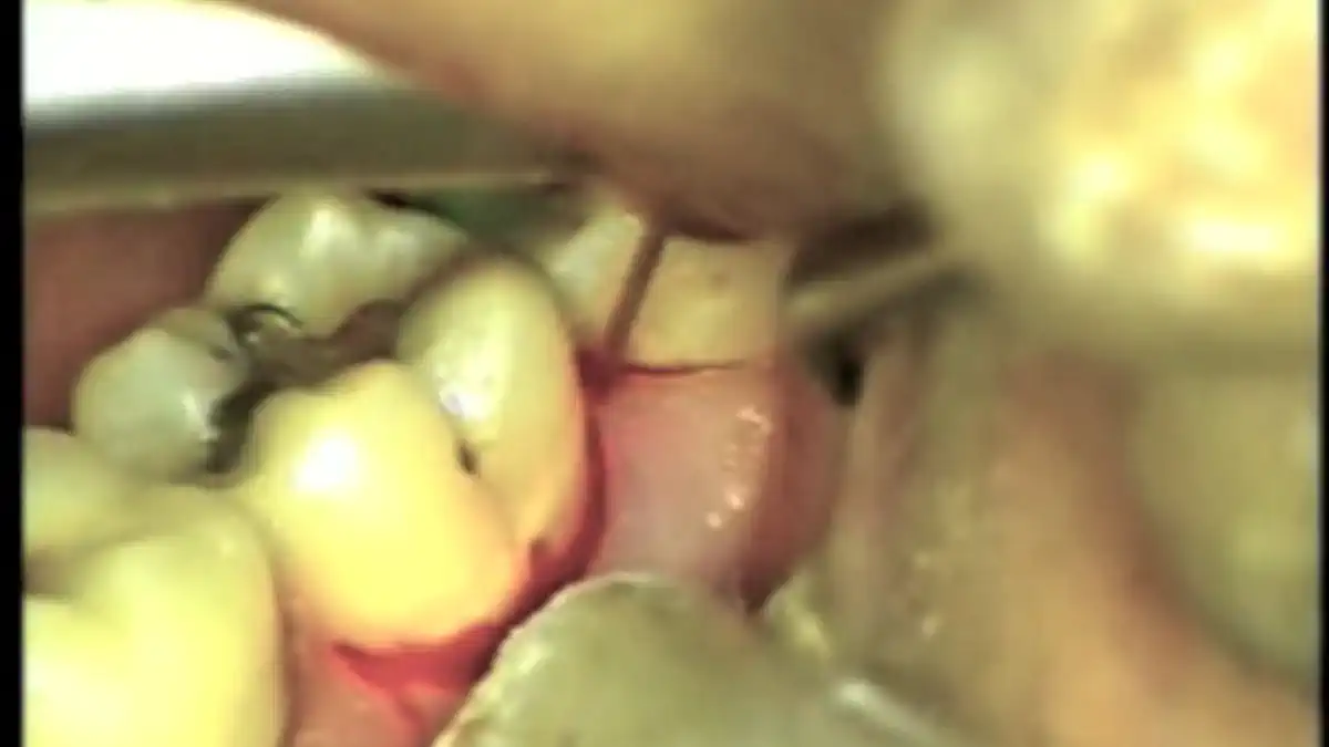 Vimeo video 356012497