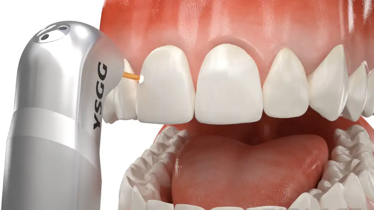 Vimeo video 366387089