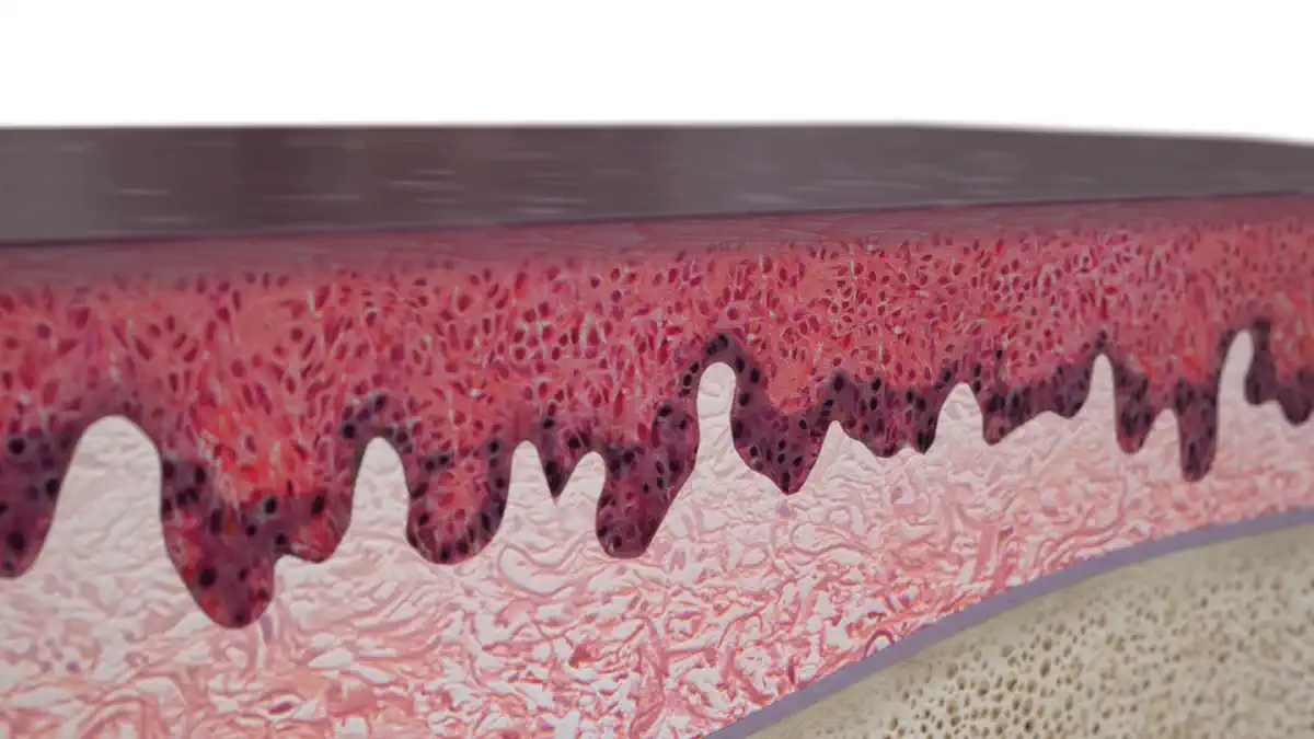 Vimeo video 387007319