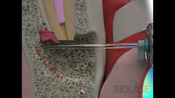 Vimeo video 387007463