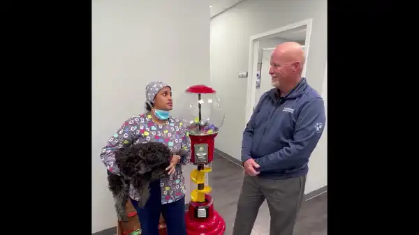 Youtube video n7amPlFpjIg