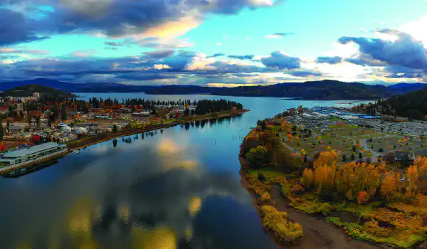 Image for case Dr. Shawn Whitney