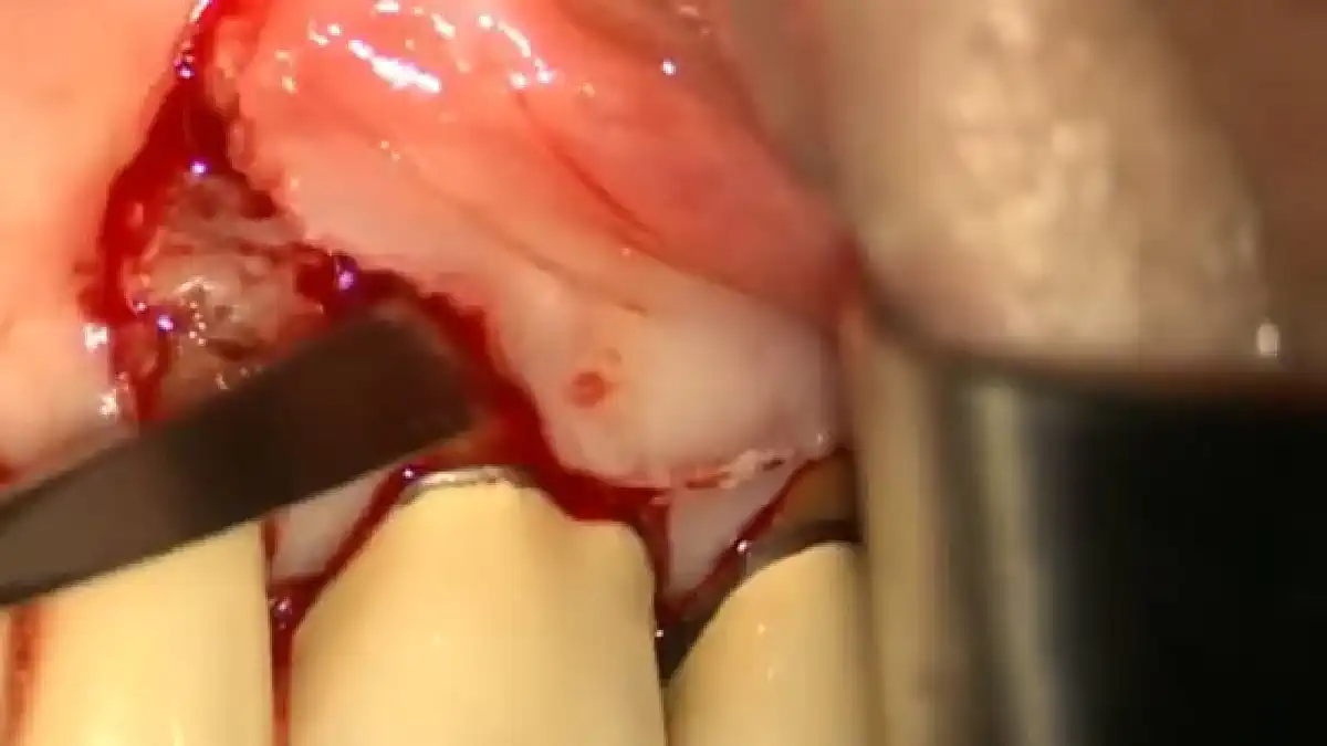 Vimeo video 649251970