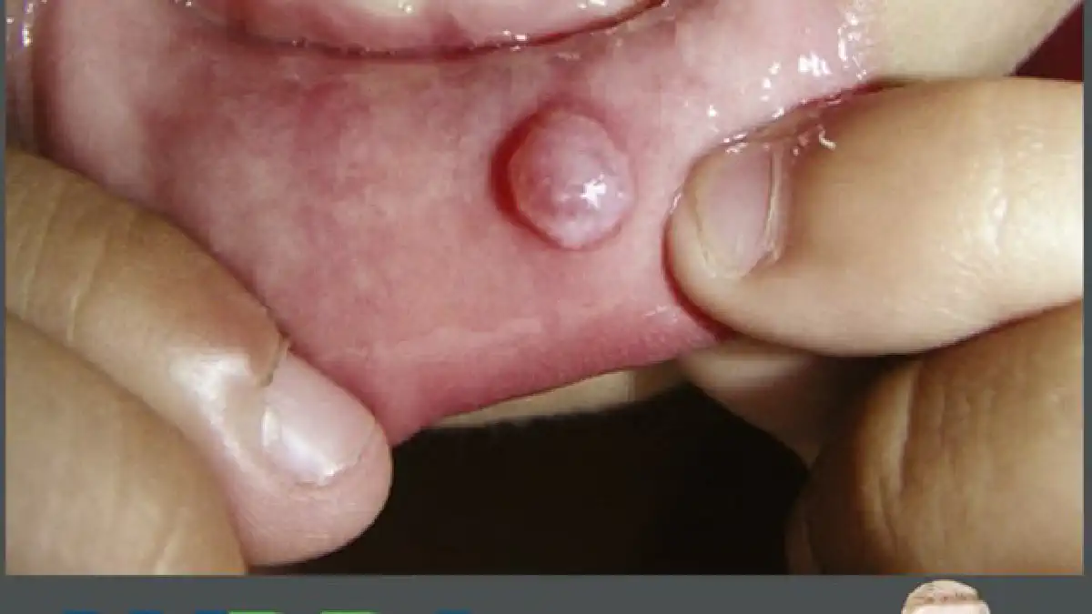 Vimeo video 669918233